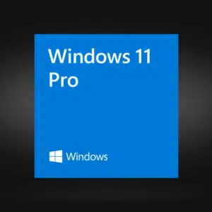 Microsoft Windows 11 Pro